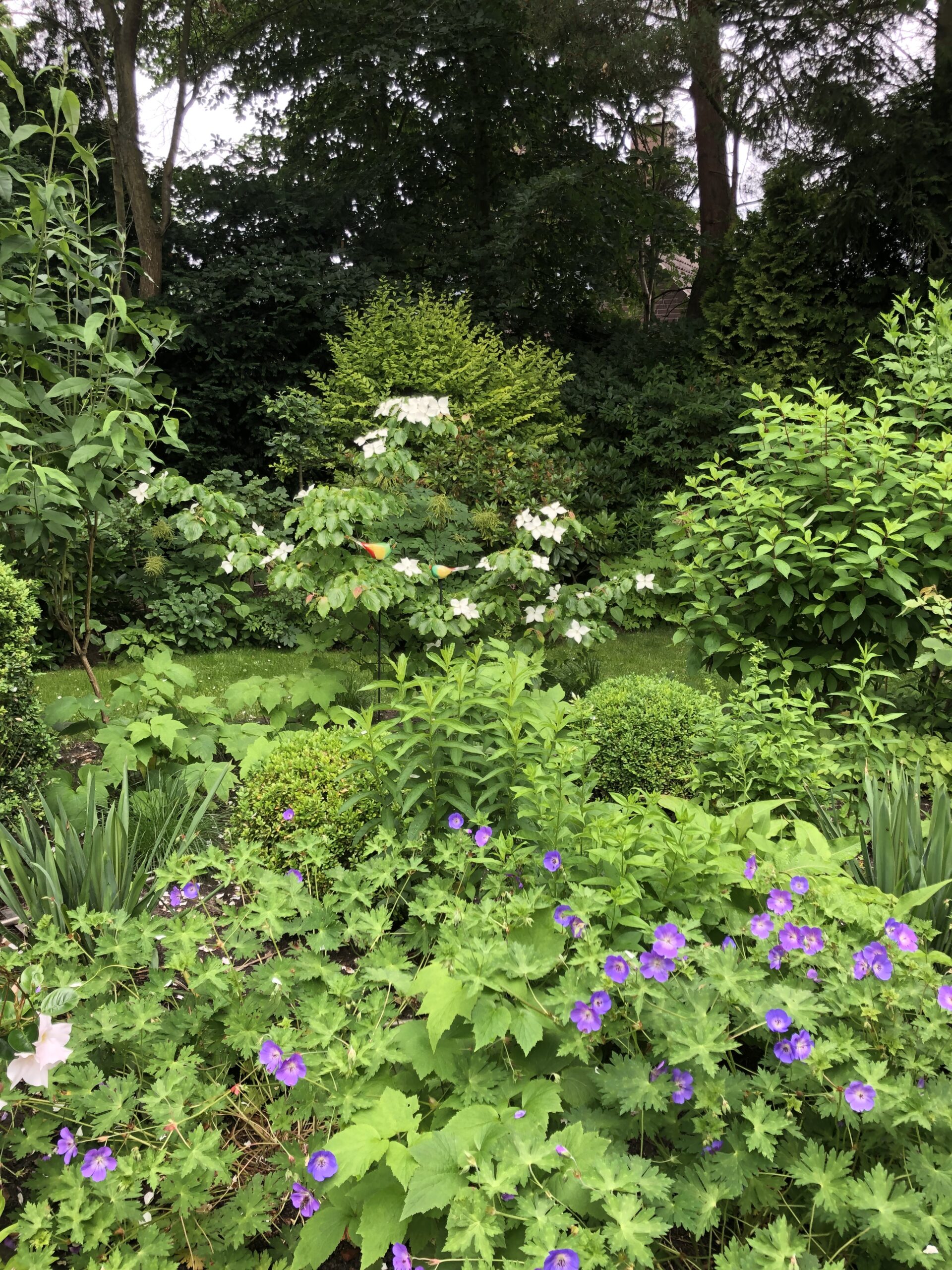 Ein schöner Garten wischt den Staub des Alltags von der Seele - b